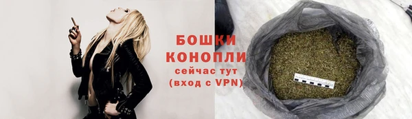 стаф Щучье