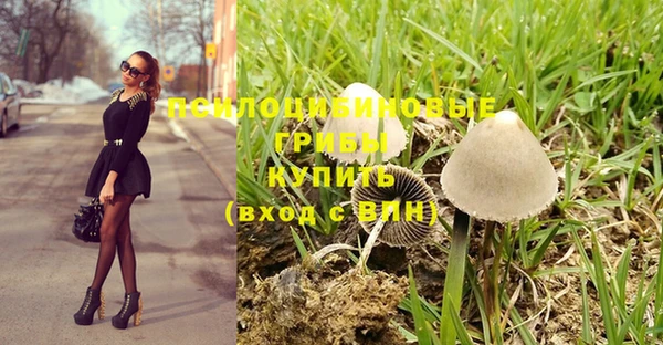 Альфа ПВП Гусь-Хрустальный