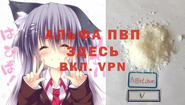 кокс Гусев