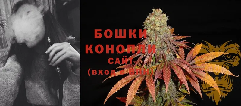 Канабис White Widow  дарнет шоп  Дмитровск 